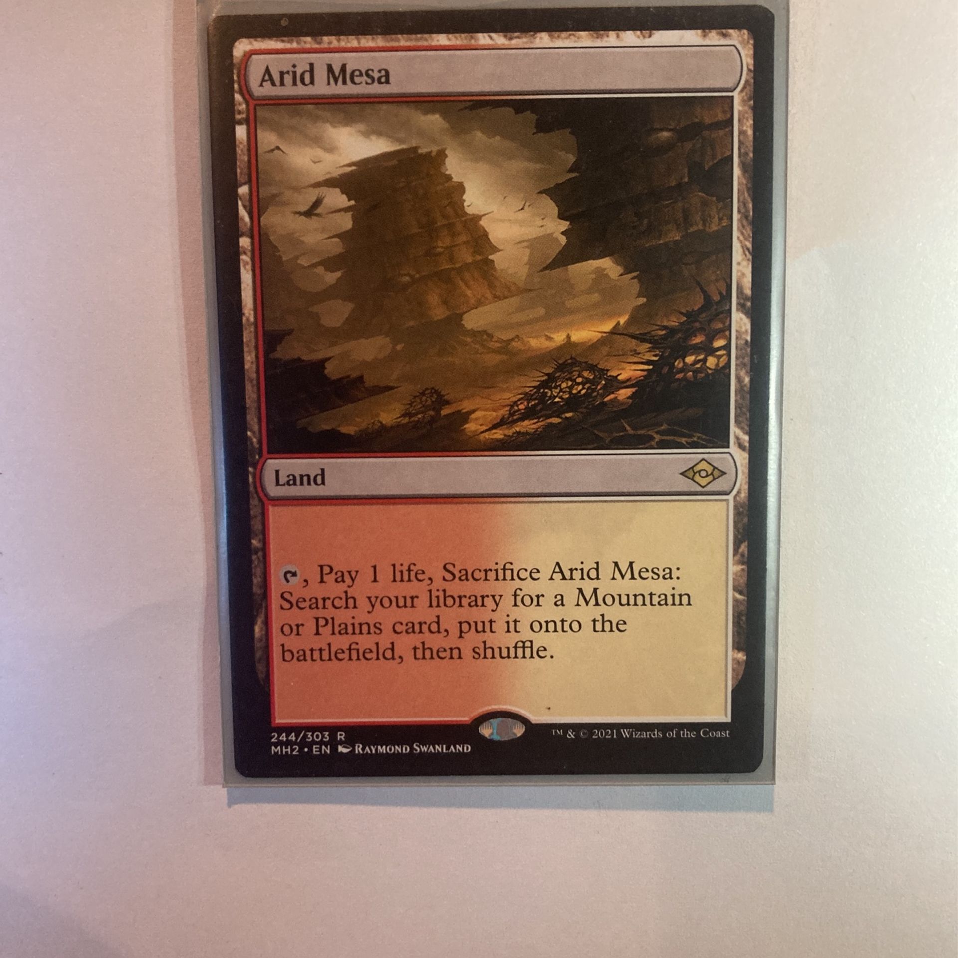 Mtg Arid Mesa