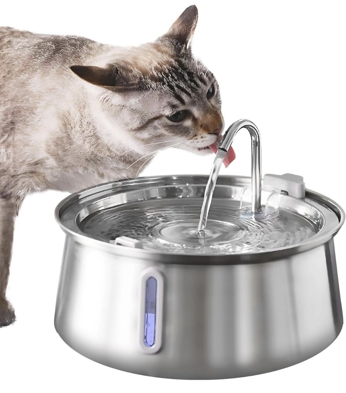 Cat Water Fountains
