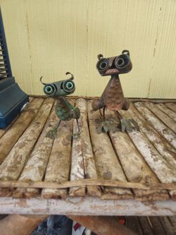 Cooper owls