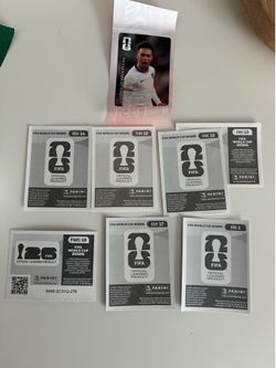 FIFA World Cup panini stickers