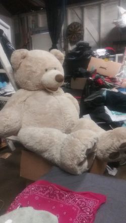 5 foot bear