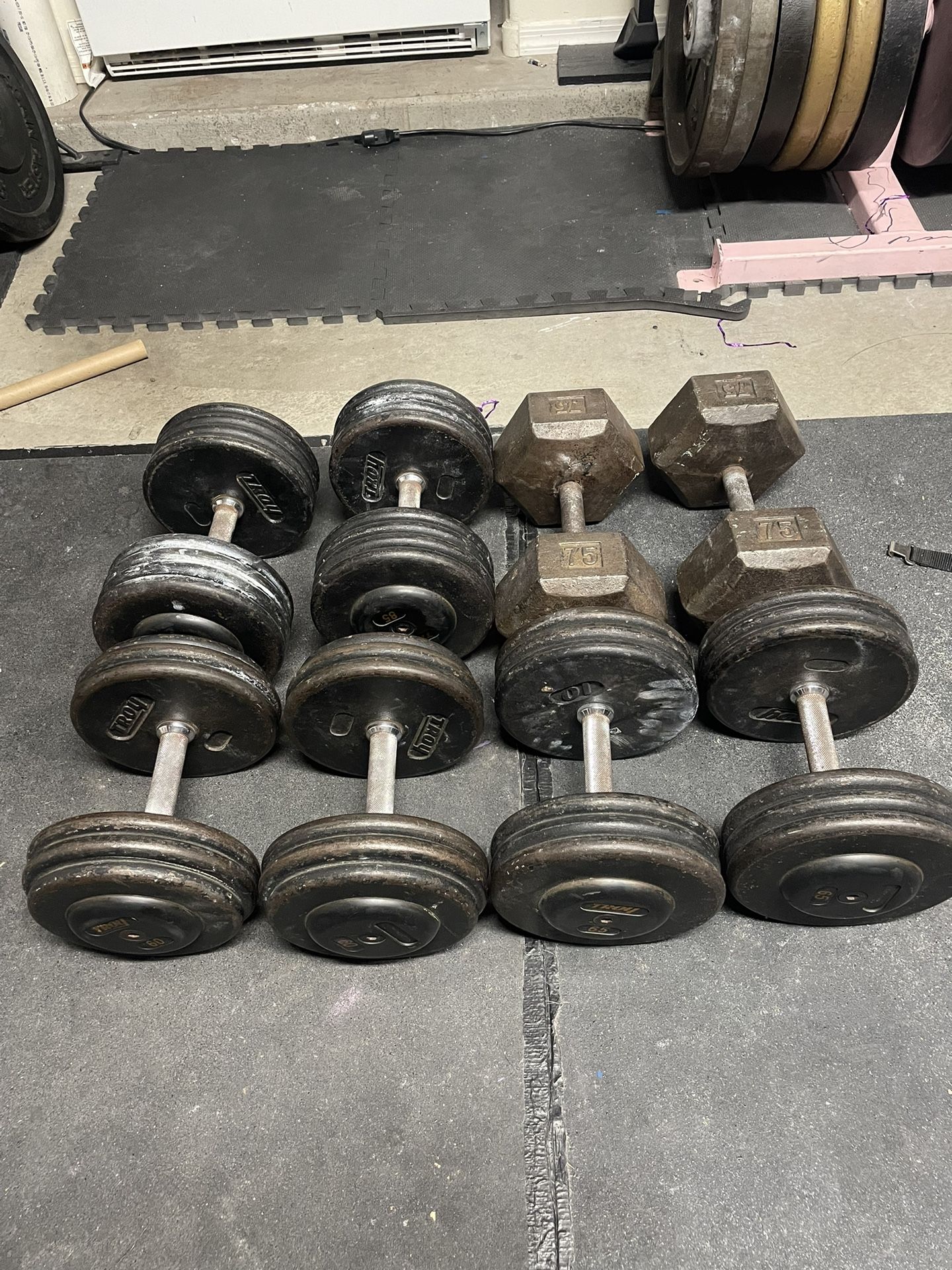 570lb Dumbbells
