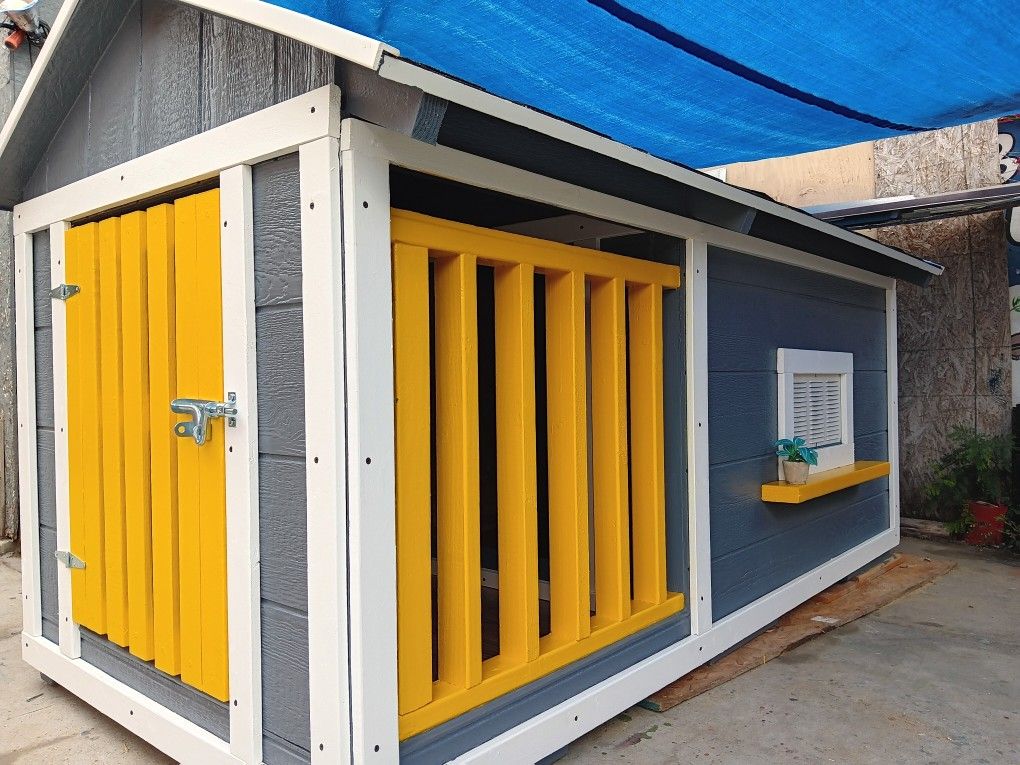 Dog House