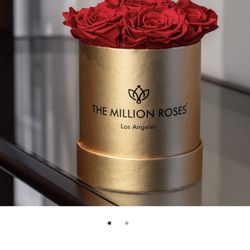 The Million Roses 