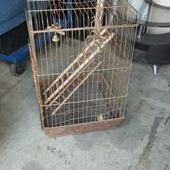 Nice Cage