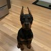 Carlos