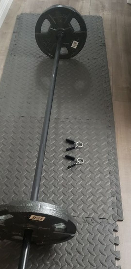 Standard 6 Foot Bar Barbell with Pair Of 25lb Weight Plates (Weights Set Totals 65LBS) (Bench, Squats, Curls)