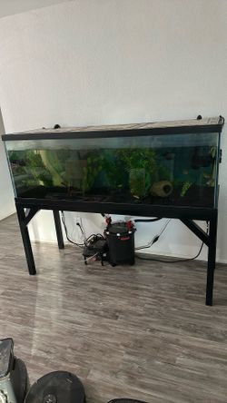 180 Gallon Aquarium
