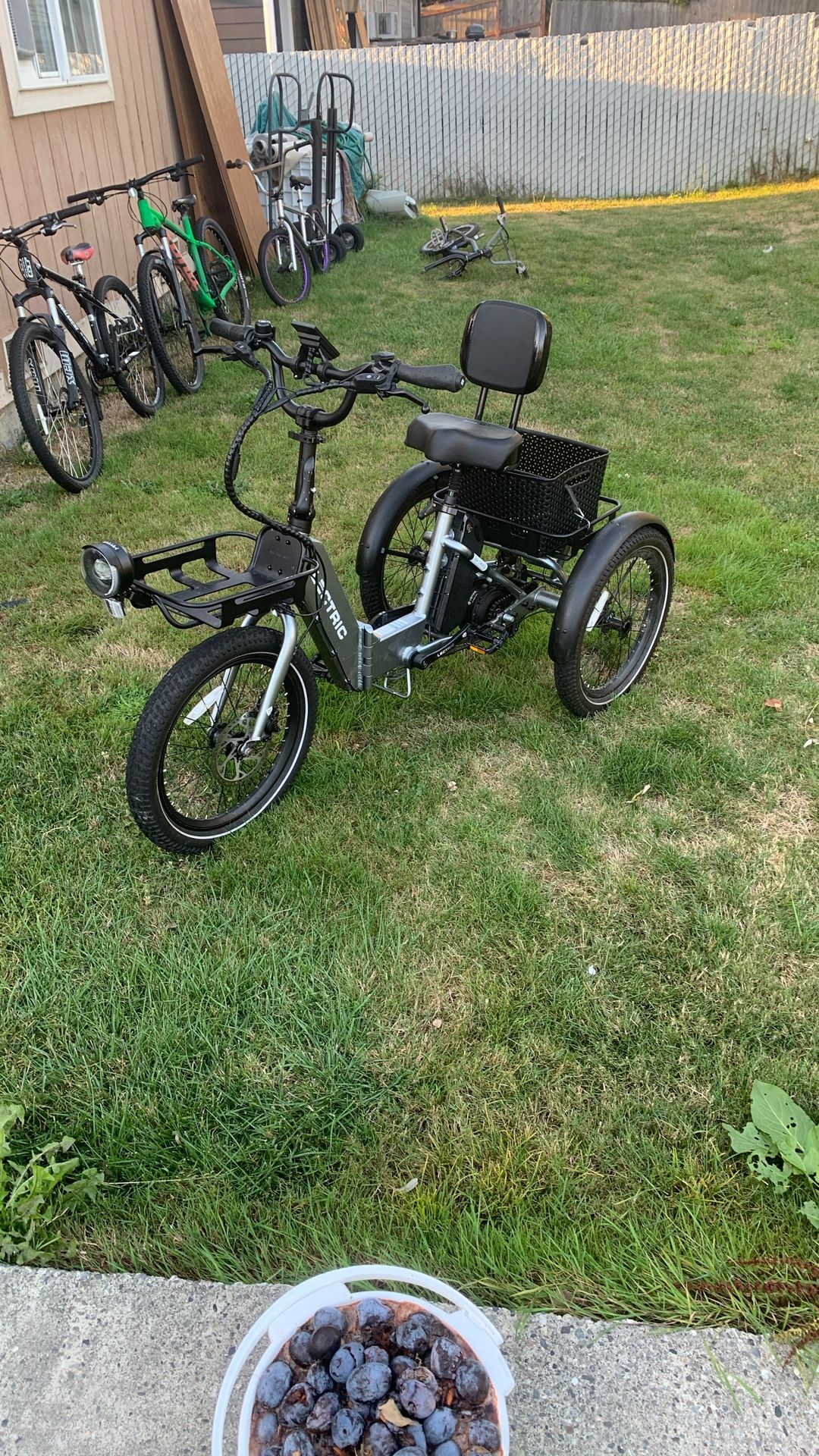 Lectric Xp Trike