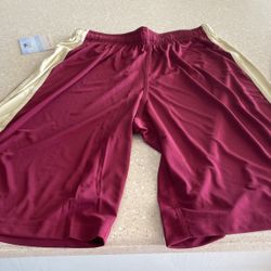 Nike Men’s Shorts