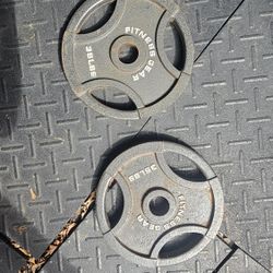 35lb Plates
