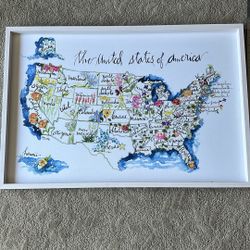 USA Map States Flowers 30x20 Framed 