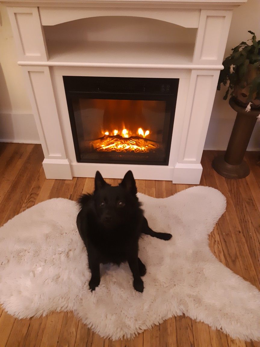 Fake Fireplace Space Heater