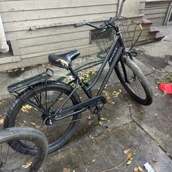 Beach Cruiser Fat Tire