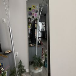 Full length Mirror- 5’ Tall, 2’ Wide 