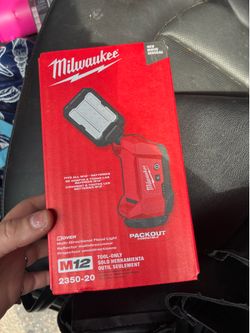 Flood light and meter reader