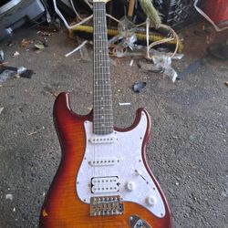 Washburn Sonamaster