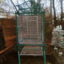 Bird cage 