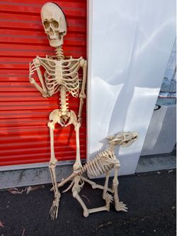 Halloween Decorations Skeletons