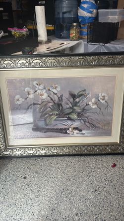 Large orchid picture
