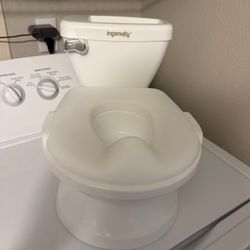 Potty training toilet