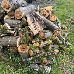 Firewood