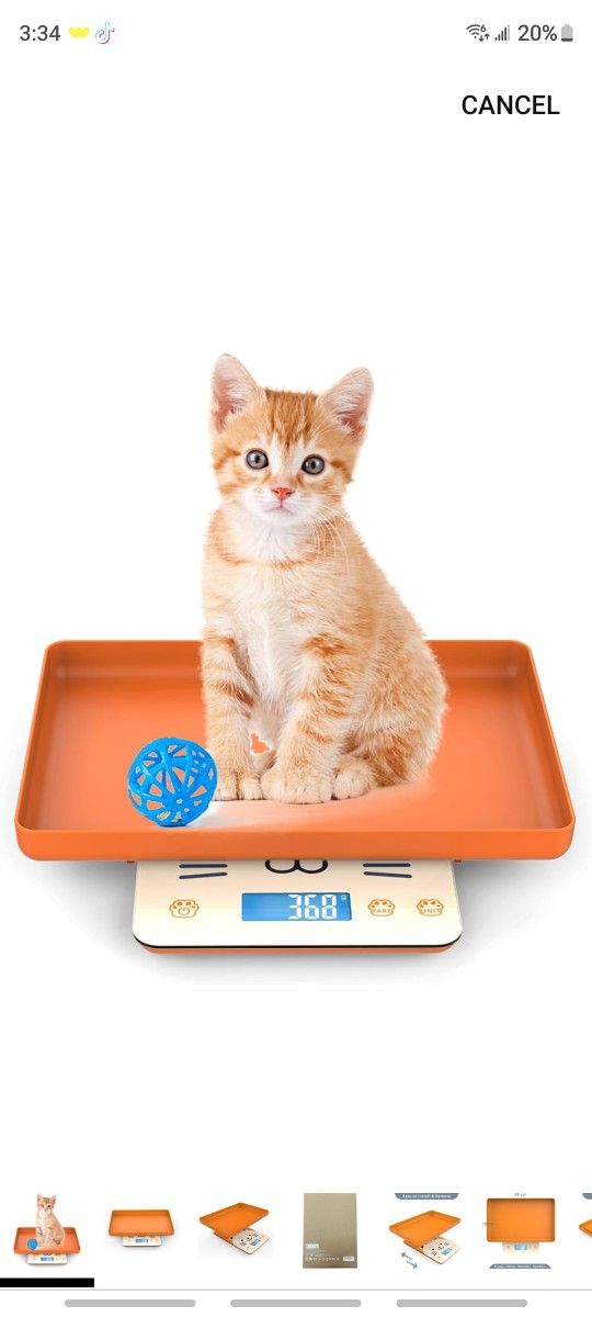 Pet Scale for Newborn Puppy and Kitten, Pet Scale with Detachable Tray for Dog Whelping Nursing, Weigh Pets Baby in Grams, 33lbs (±1 Gram) (Orange)
