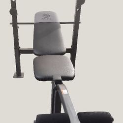 Gold gym xr 6.1 weight online bench