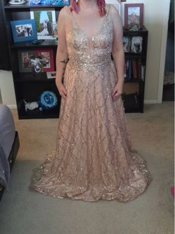 David’s Bridal Gown