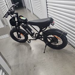 Ridestar Electric Bike 