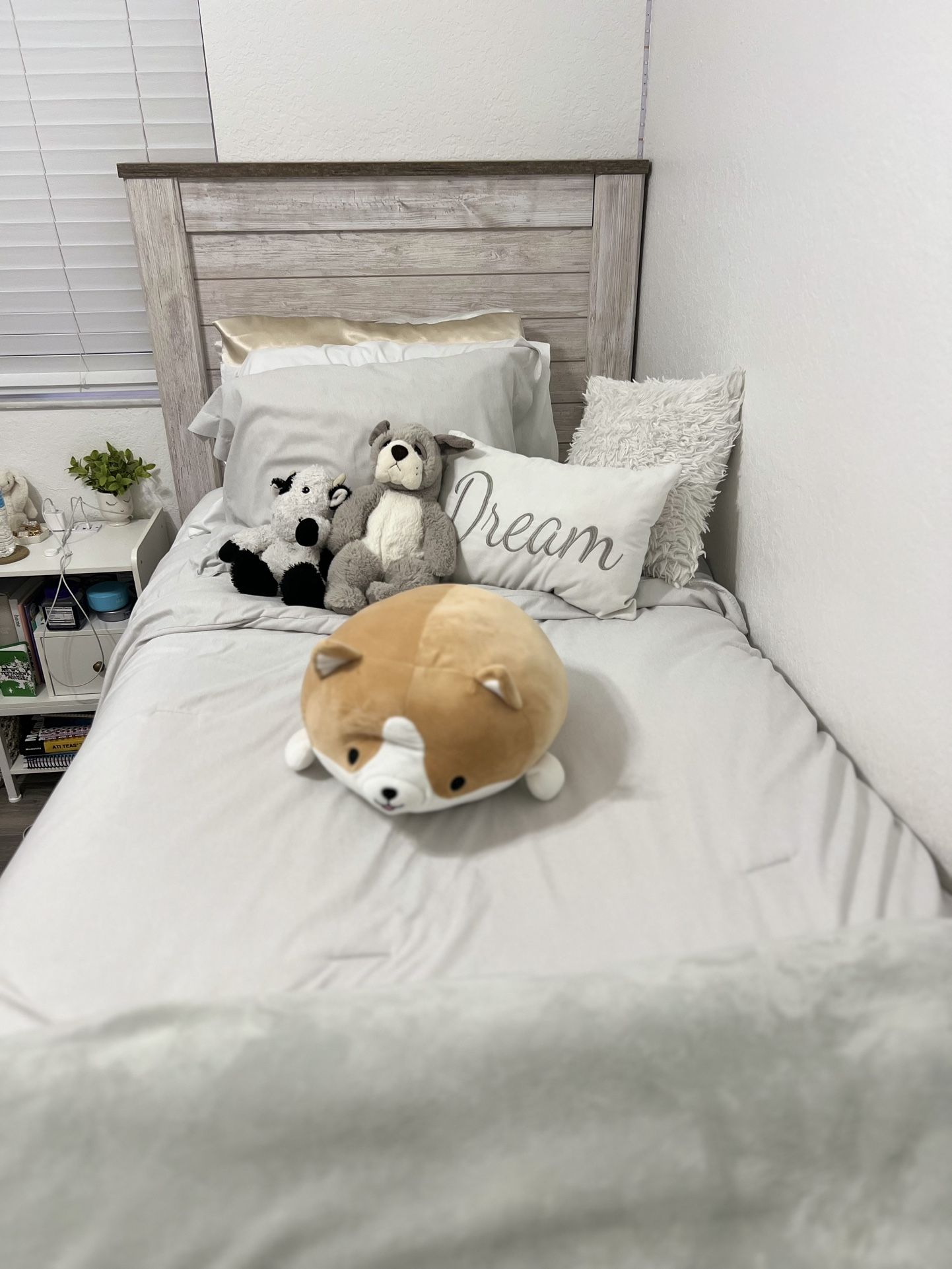Twin Size bed frame box spring included