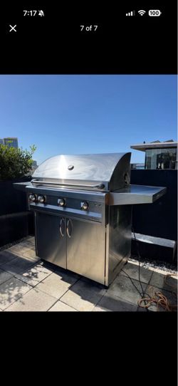 Gas grill professional