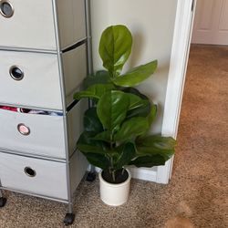 fake indoor plant