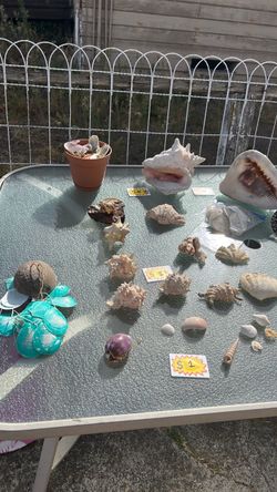 Shells