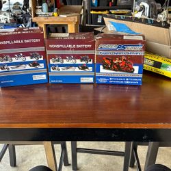 Power Sonic Super Sport Batteries 