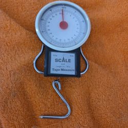 Scale