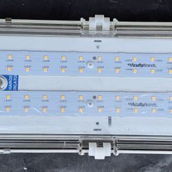 LED Light 