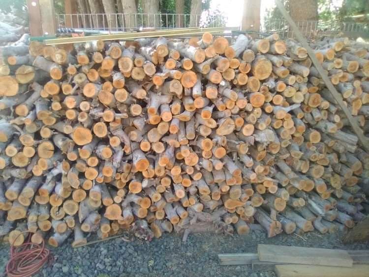 Apple Wood