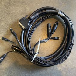 AVID PROFESSIONAL LINE-IN SNAKE ANALOG AUDIO 12' CABLE