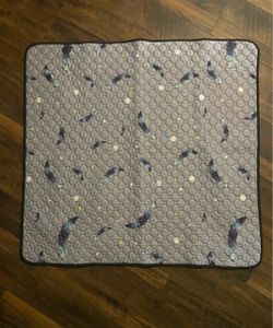 Pet Washable or pad set of two