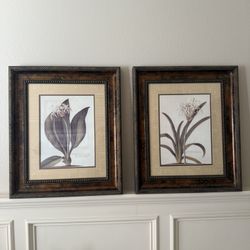 Beautiful Botanical Prints