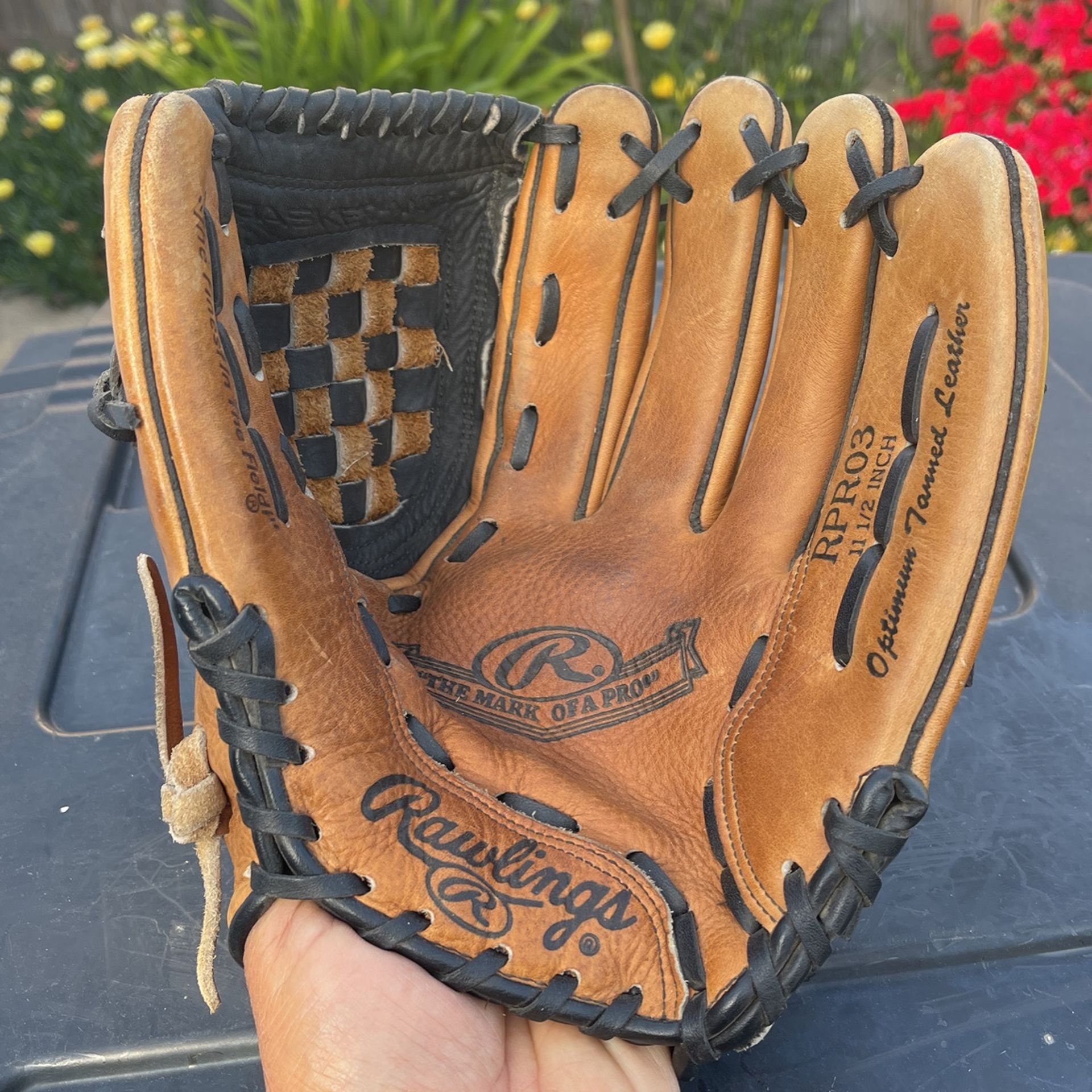 Softball Glove- Rawlings RPR03 - 11 1/2
