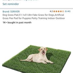 Astroturf For Dogs Fake Grass For Your Dog
