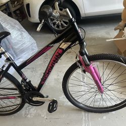 Schwinn Bicycle 