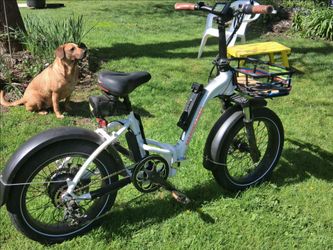 Rad Step Through Ebike