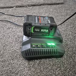 Flex 5.0 Battery and quick charger