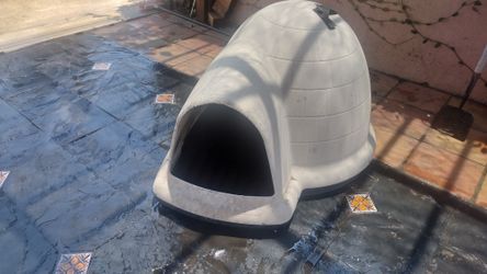 Dog House 