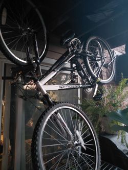 Nice Bike