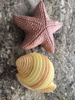 Shells, decorative plastic