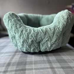 Cat Bed 